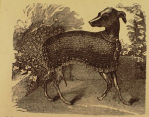 crochet jacket for a greyhound Godeys 86 5 May 1873 p 453