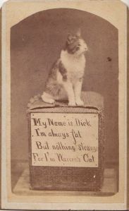 9VCxg2RaqduyHc2uJlTxriciN2Ehe2xj4tPpfCScHcc