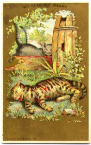 Charles & Co.- Not Dead But Weary