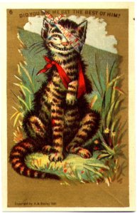 Charles & Co.- The Winner