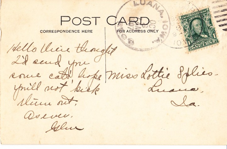 cats step ladder pc back 1907