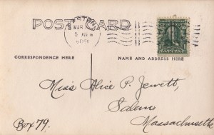 pet blog images_0016