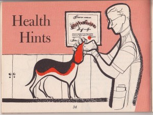 IMG pet blog images_0007