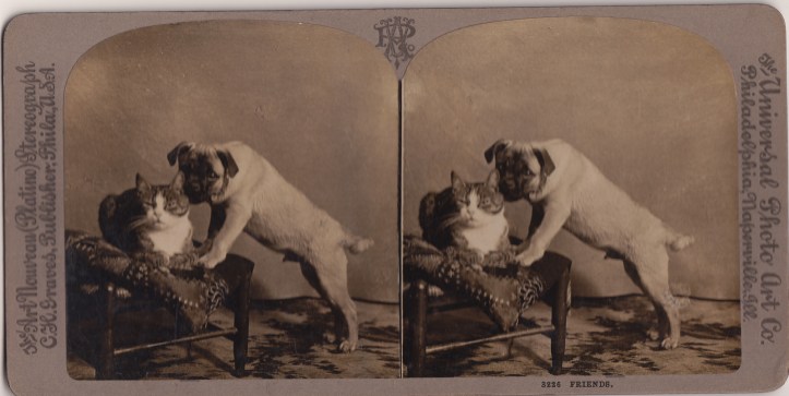 Pets Blog 30Apr2015_0004