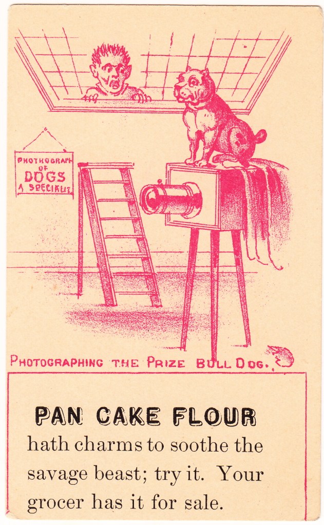 Pets Blog 30Apr2015_0016