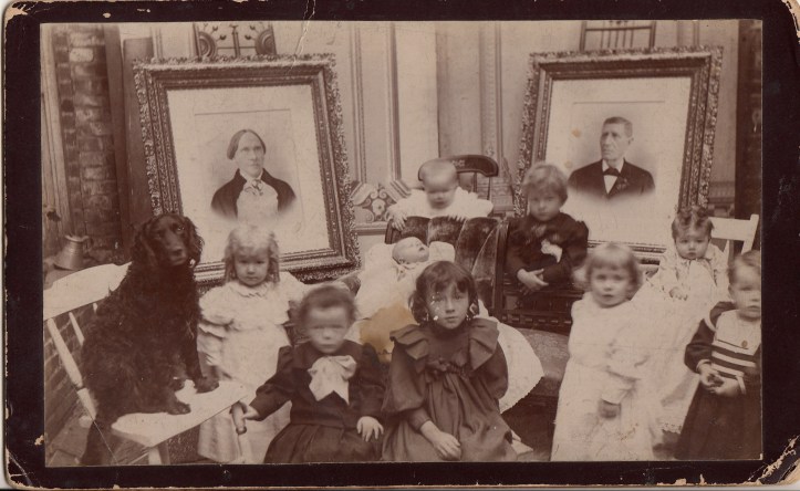 Pets Blog 1 July 15_0009