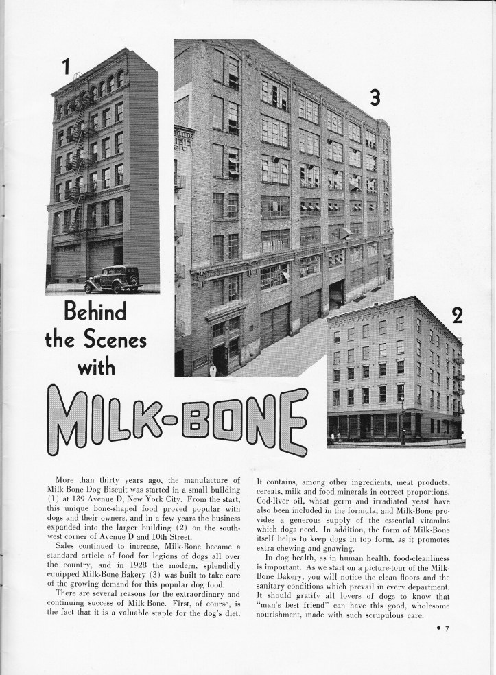 Pets Blog 1 July 15_0022