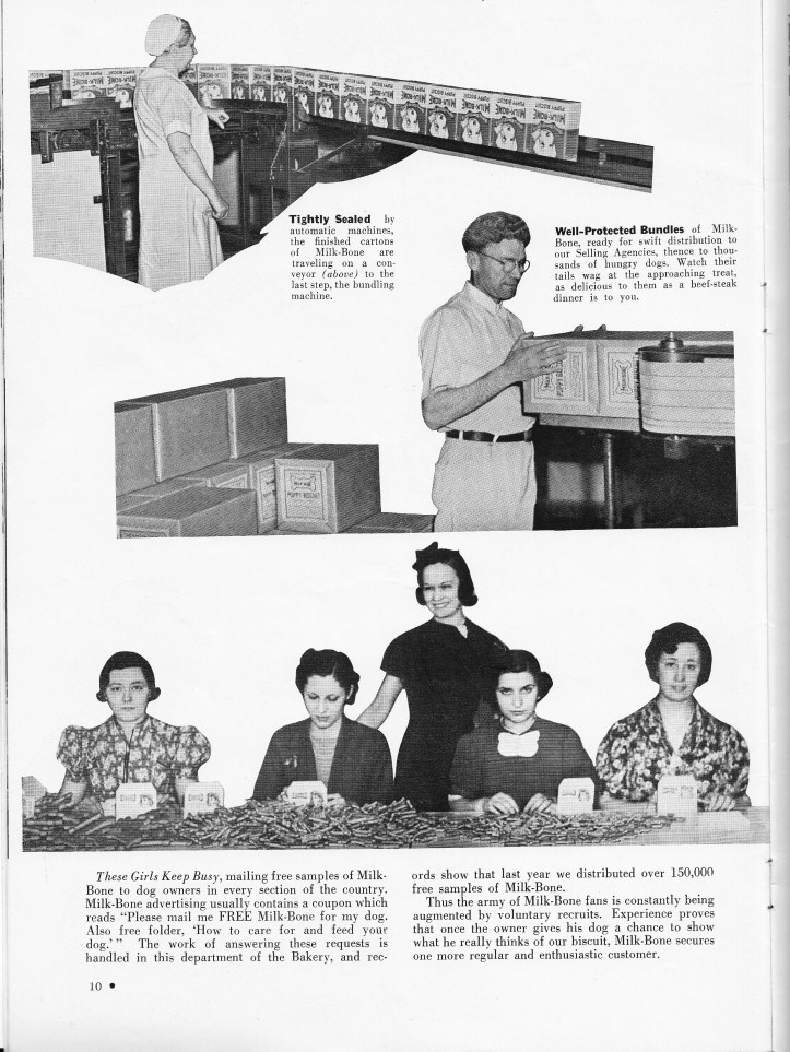 Pets Blog 1 July 15_0025