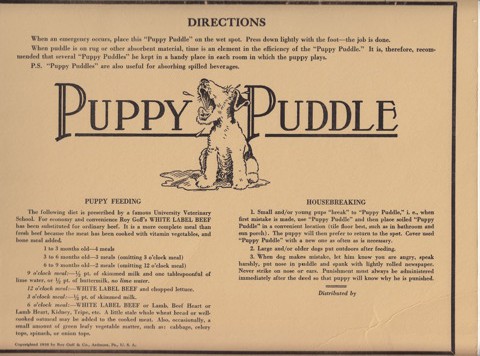 Pets Blog 15 Sept_0012