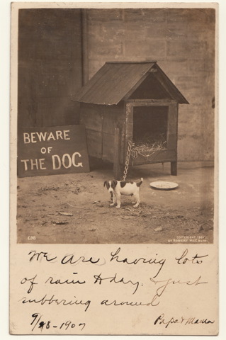 Postcard doghouse 1907