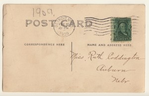 Pets Blog 9 January 2016_0005