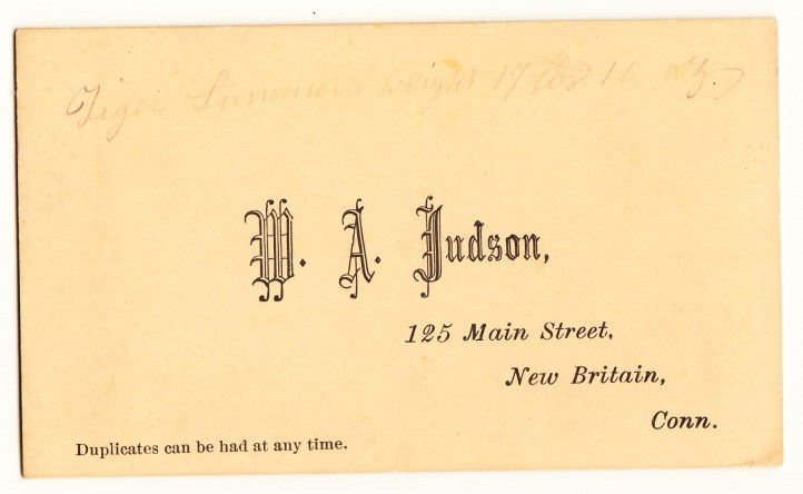 Pets Blog 9 January 2016_0011