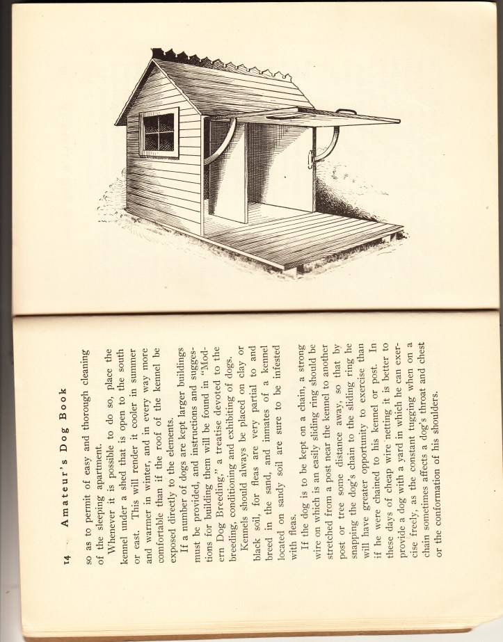 Pets Blog 22 March 2016_0023