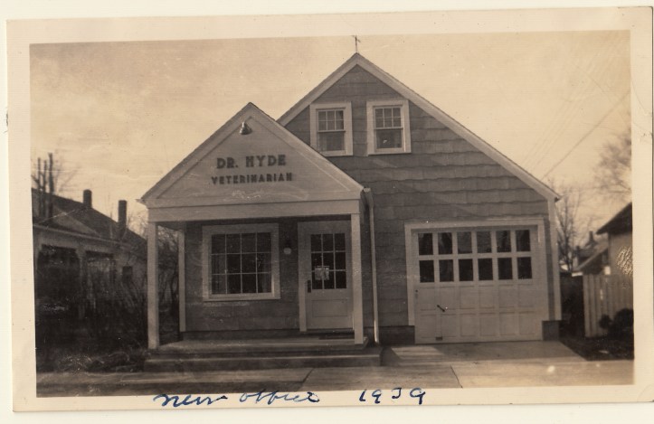 pets-blog-1-oct-2016_0014