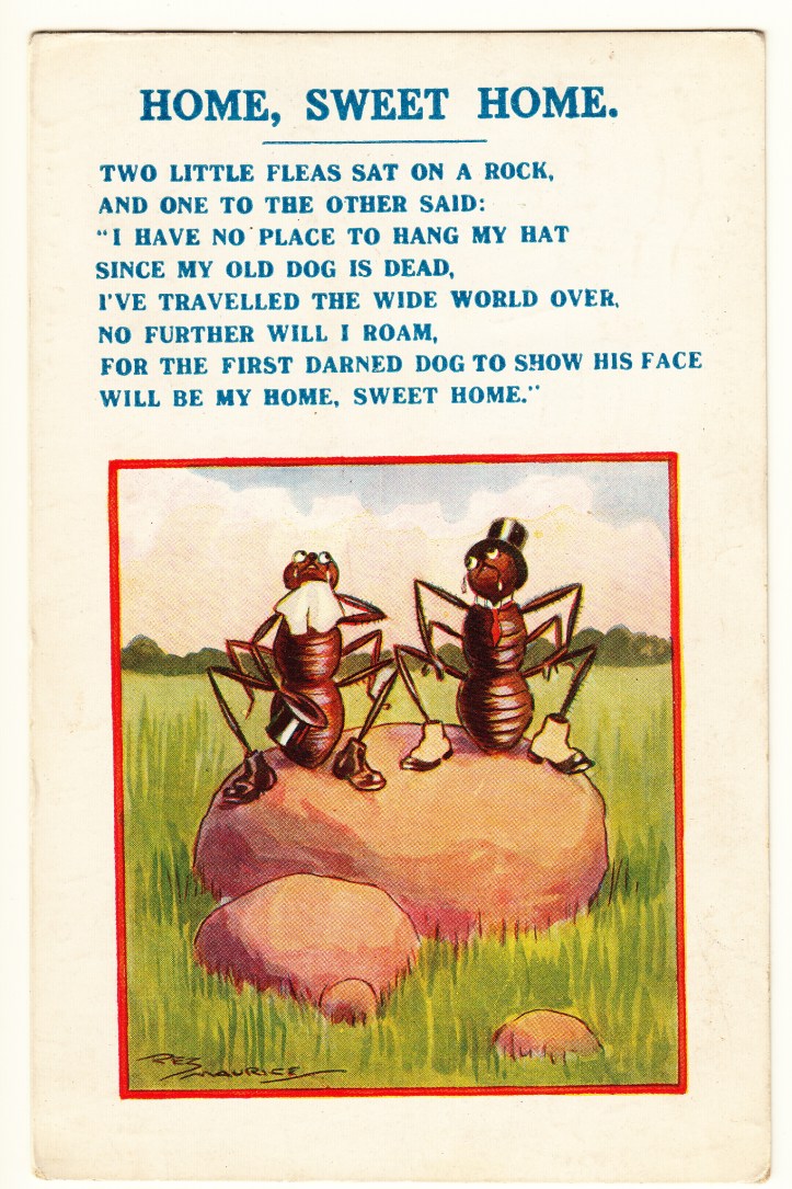 pets-blog-1-oct-2016_0017