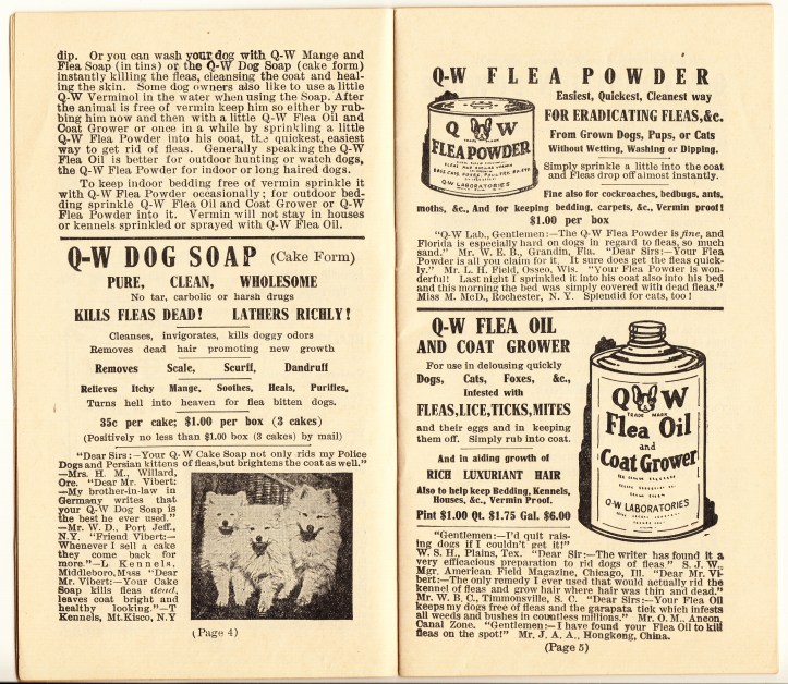 pets-blog-1-oct-2016_0025