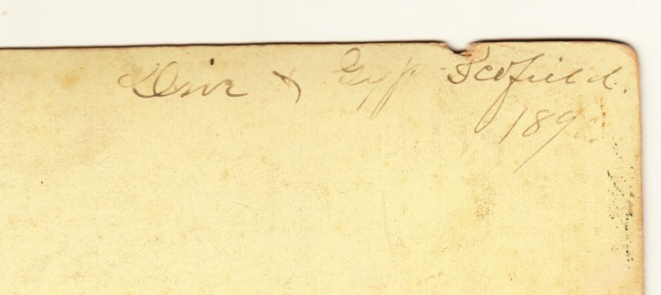 pets-blog-12-dec-2016_0023