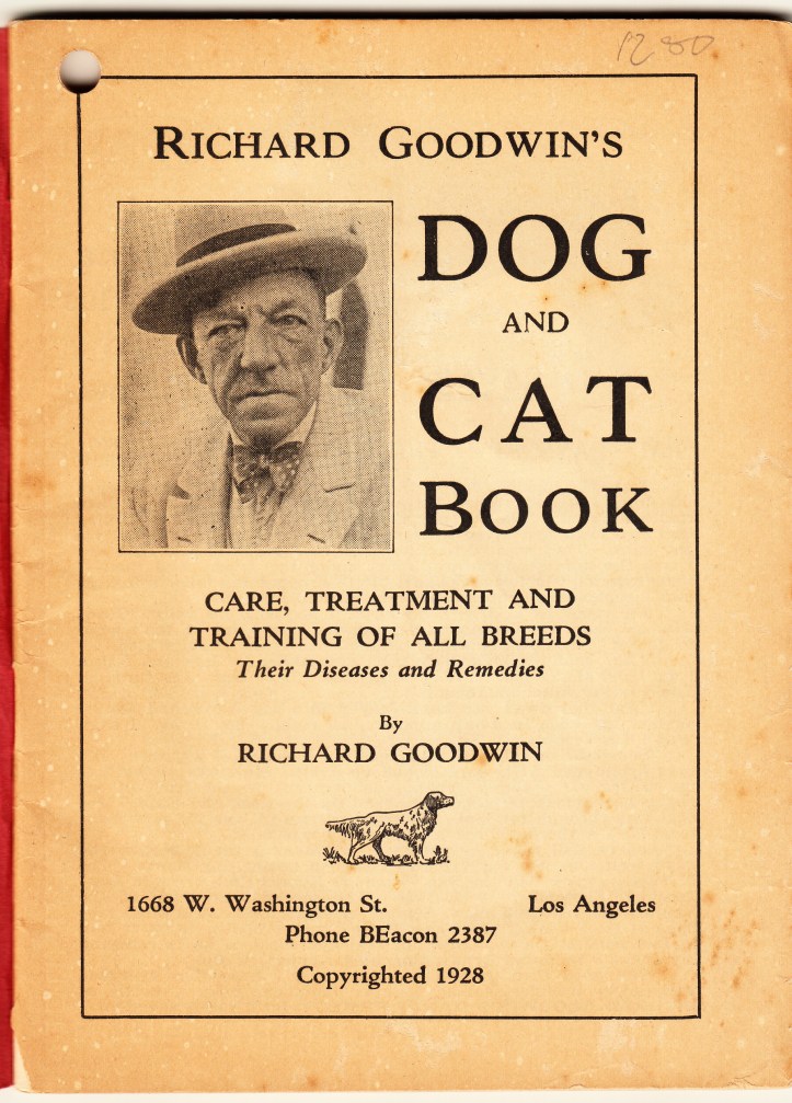 pets-blog-7-jan-2017-goodwin_0001