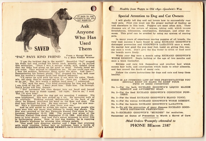 pets-blog-7-jan-2017-goodwin_0002