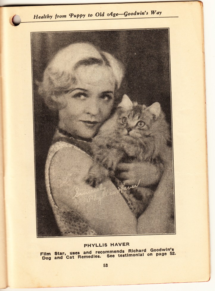 pets-blog-7-jan-2017-goodwin_0005