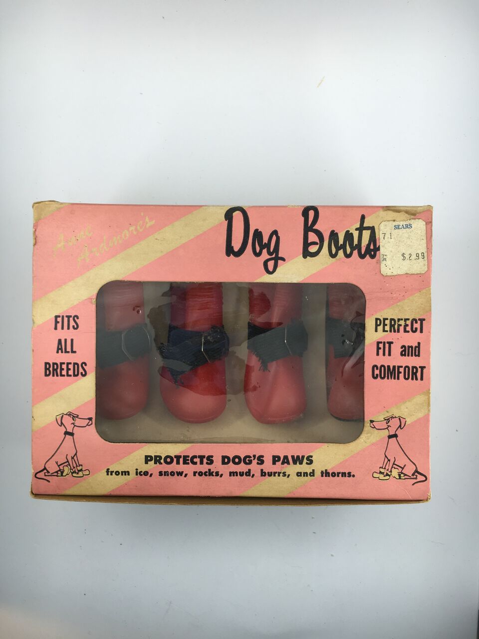 6pbuO87Laq251XsIrKTJJv1gXYZJG-F8jWTxJcQeGp8