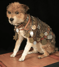 Screenshot 2018-04-15 20.35.13